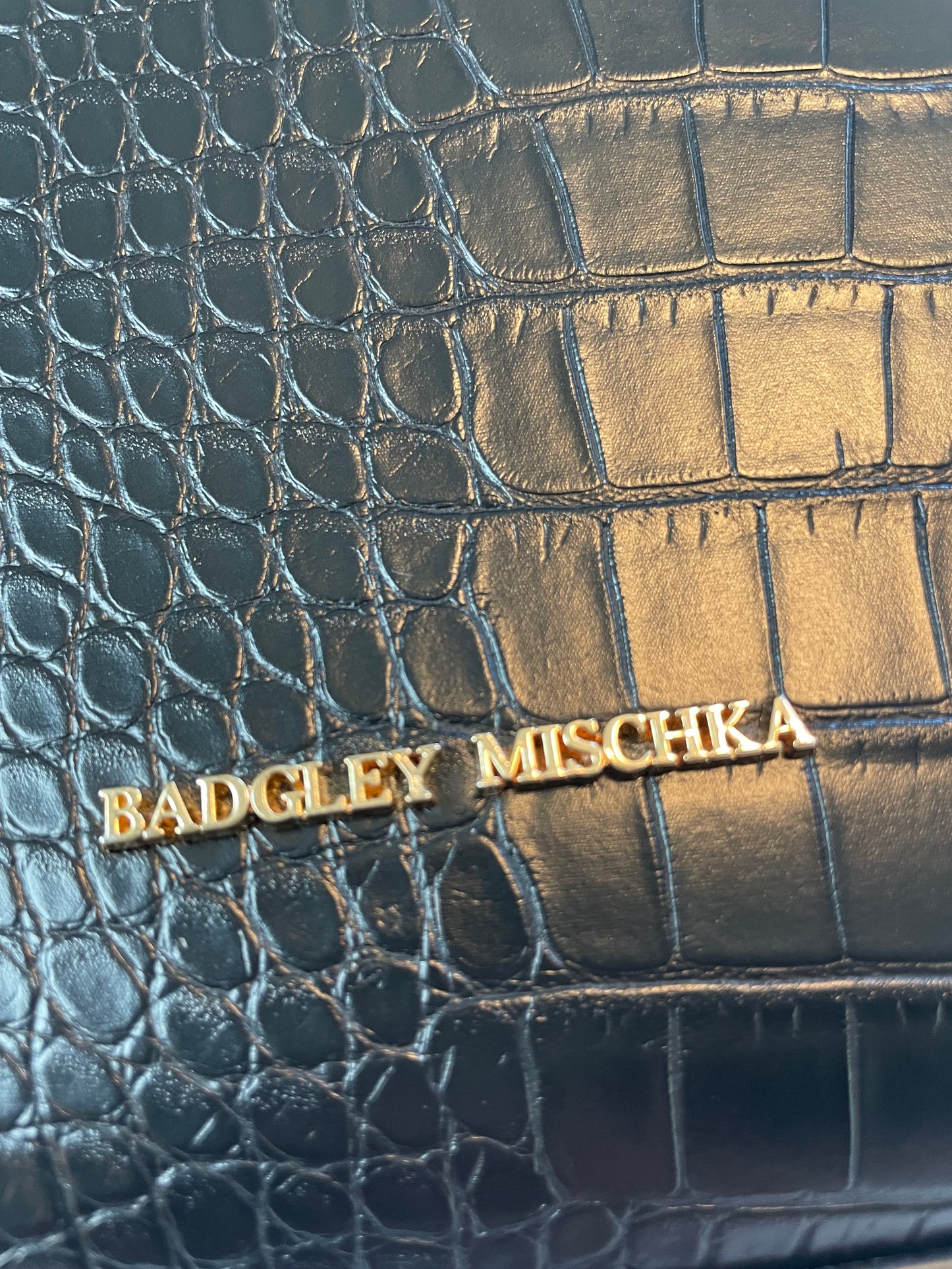 Badgley Mischka Croc-Embossed 2-way Frame Bag